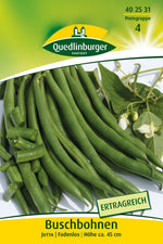 Quedlinburger Buschbohne Jutta