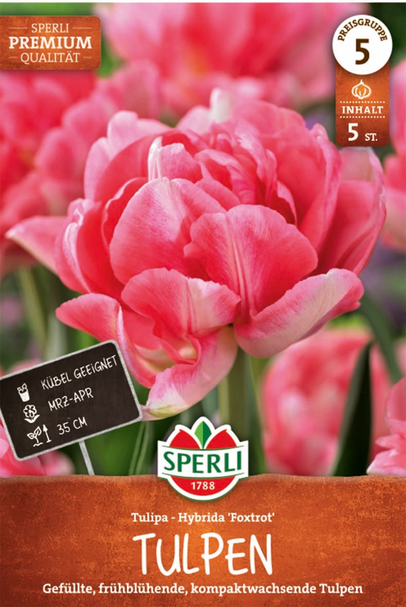 Premium Gefüllte Frühe Tulpe Foxtrot