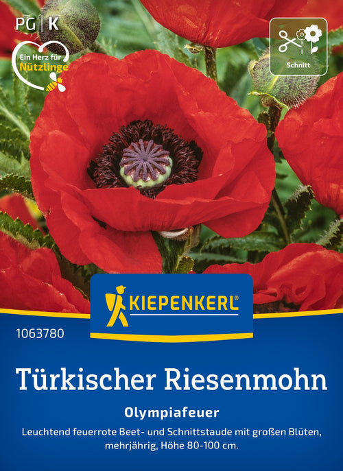 Kiepenkerl Mohn Olympiafeuer