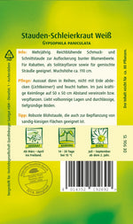 Quedlinburger Schleierkraut weiß, mehrjährig
