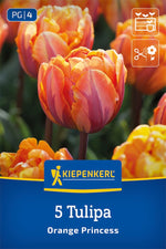 Gefüllte späte Tulpe Orange Princess