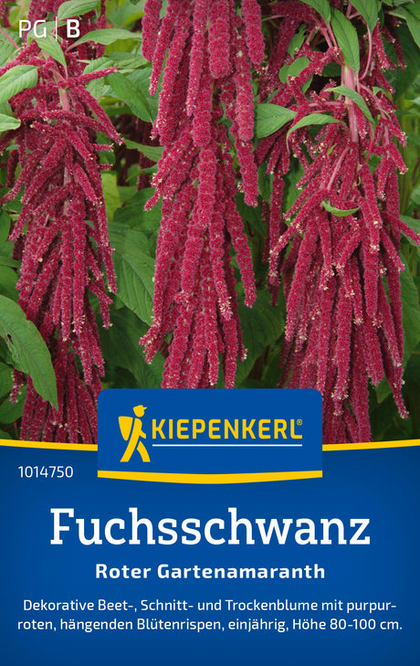 Kiepenkerl Fuchsschwanz Roter Gartenamaranth