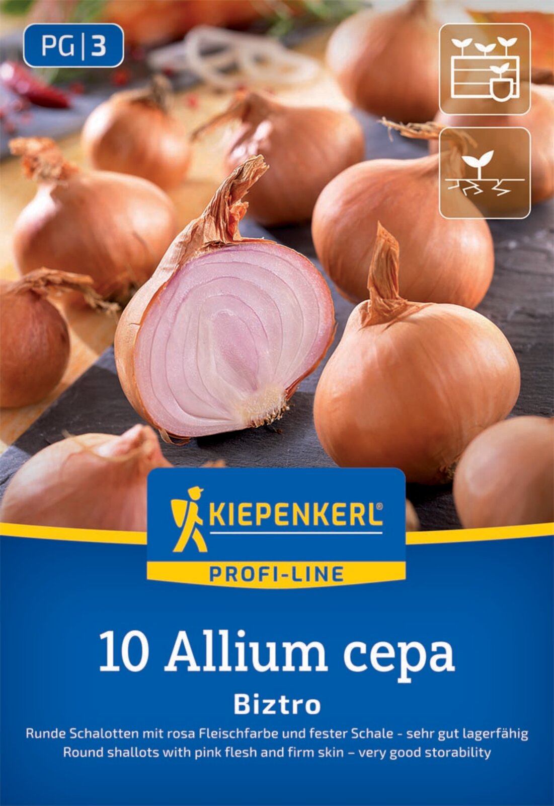 Kiepenkerl Schalotte Biztro 10 Stück