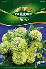 Quedlinburger Zinnie Green Envy