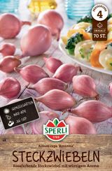 SPERLI Rote Steckzwiebel Rosanna 50 Stück