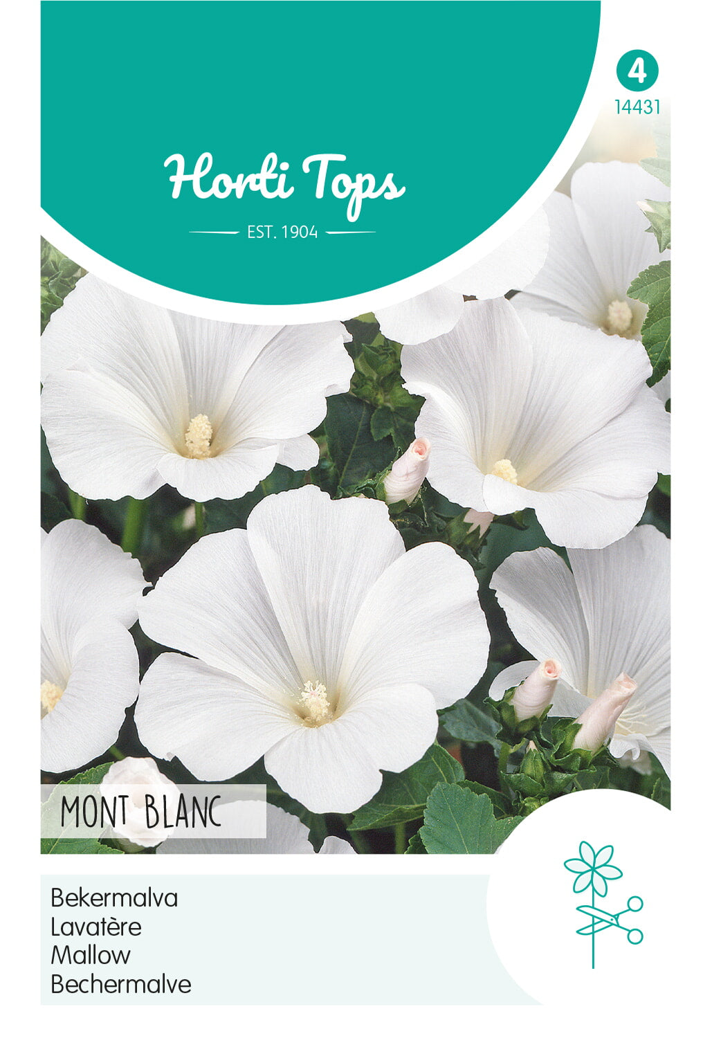 Horti Tops Bechermalve Mont Blanc