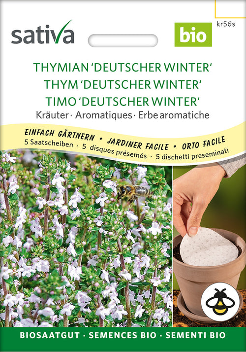 Sativa Thymian Deutscher Winter Saatscheibe
