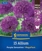 Mega-Pack Zierlauch Purple Sensation