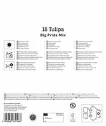 Mega-Pack Darwin-Hybrid-Tulpen Big Pride Mix