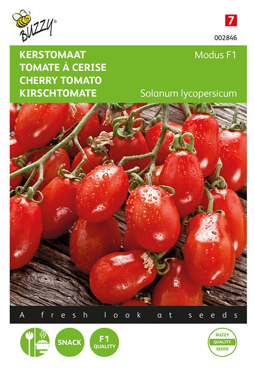 Buzzy Seeds Tomaten Modus F1