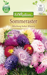 N.L. Chrestensen Sommeraster Mischung hoher Klassen