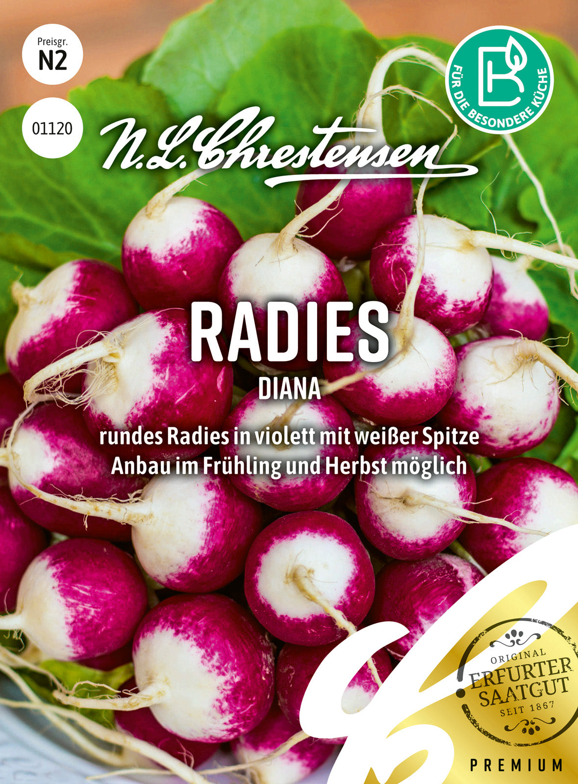 N.L. Chrestensen Radies Diana