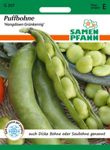 Samen Pfann Puffbohne Hangdown Grünkernig