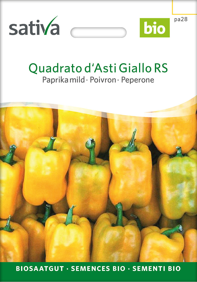 Sativa BIO Paprika mild Quadrato d'Asti Giallo RS