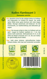 Quedlinburger Radieschen Flamboyant 2