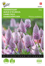 Buzzy Seeds Haarschöpfchen Joey