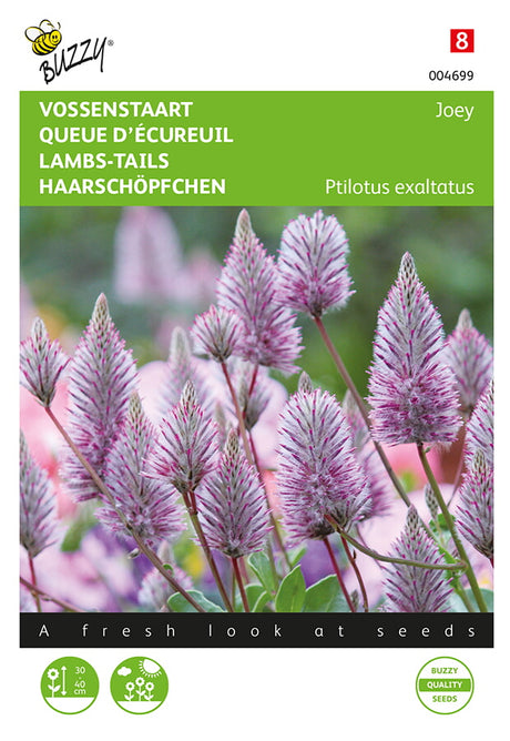 Buzzy Seeds Haarschöpfchen Joey