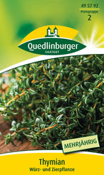 Quedlinburger Thymian Echter mehrjährig