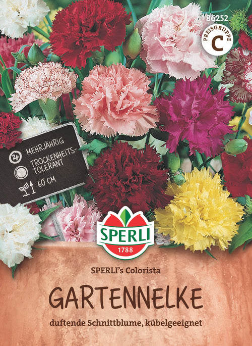SPERLI Bartnelke SPERLI's Colorista