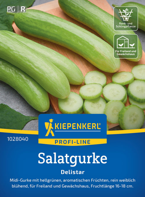 Kiepenkerl Salatgurken Delistar