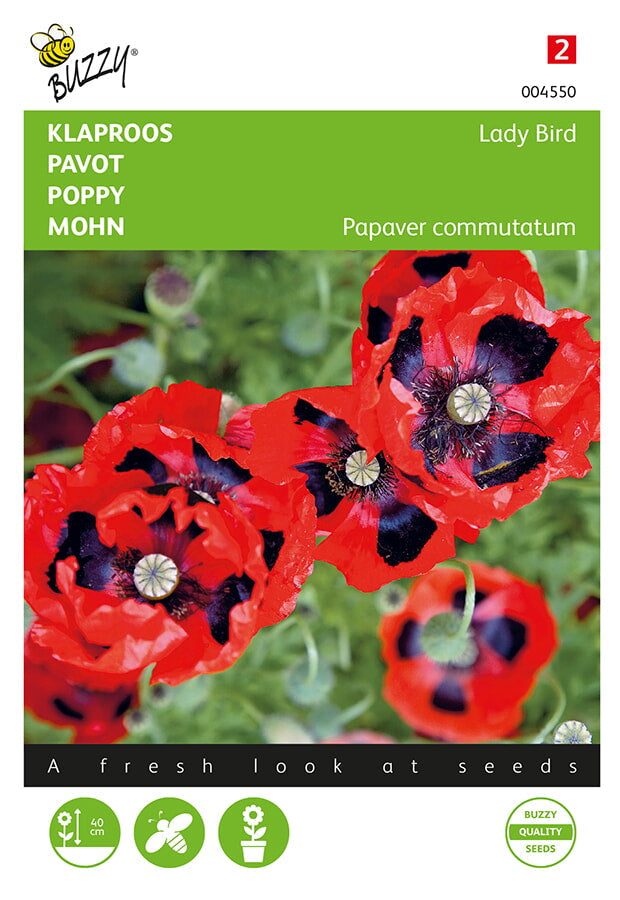 Buzzy Seeds Mohn Lady Bird