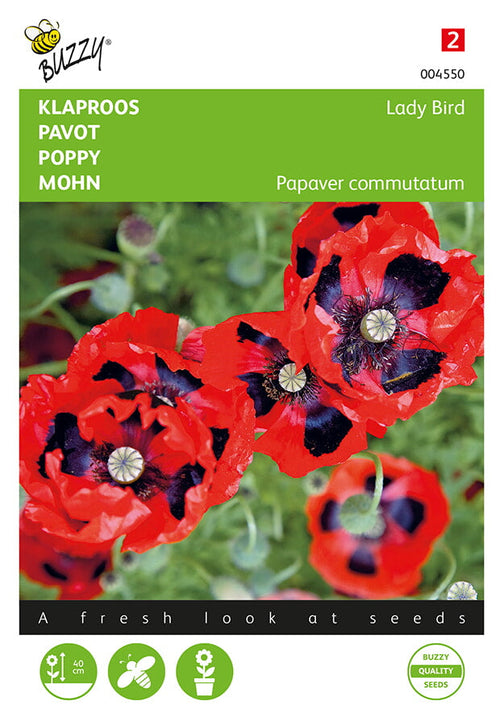 Buzzy Seeds Mohn Lady Bird
