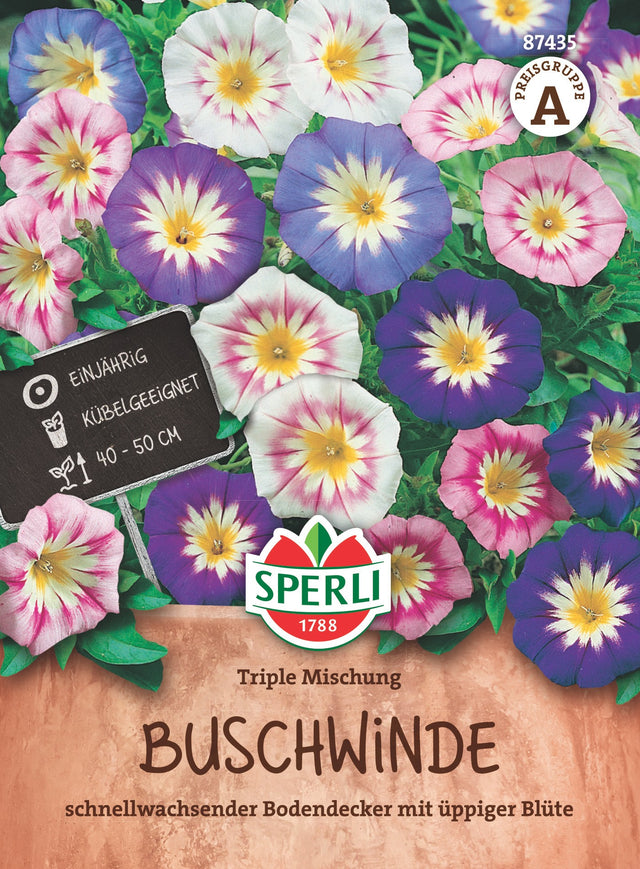 SPERLI Prunkwinde Triple Mischung