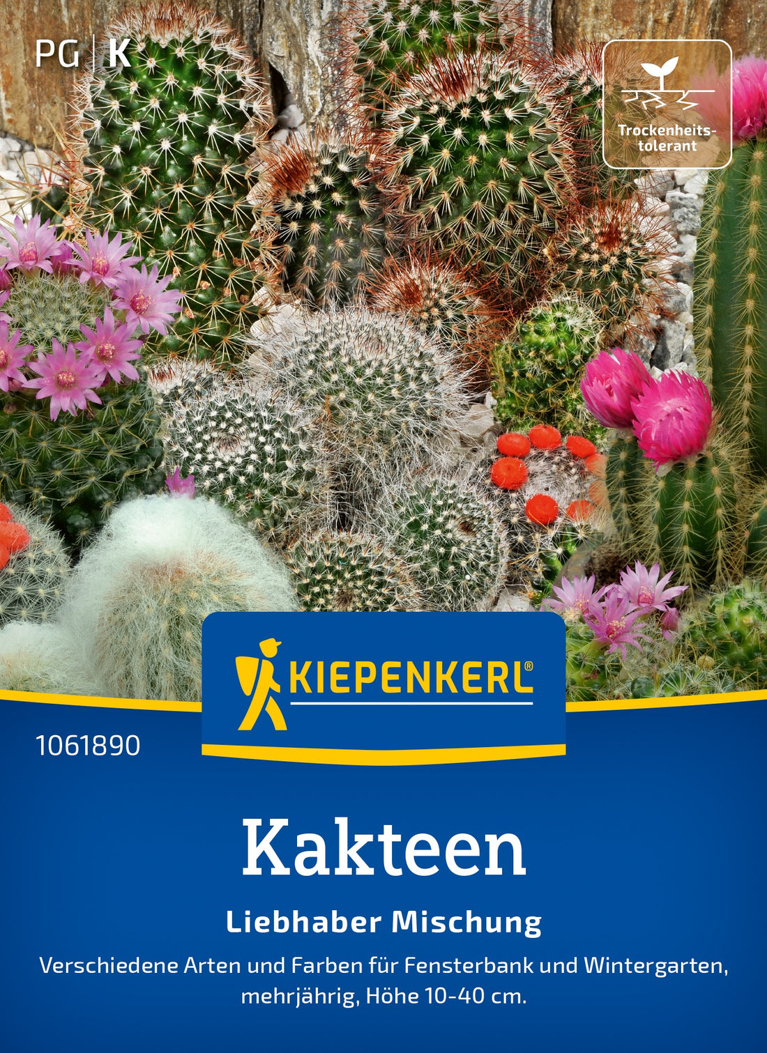Kiepenkerl Kakteen Liebhaber Mischung