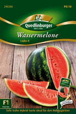 Quedlinburger Wassermelone Lajko II