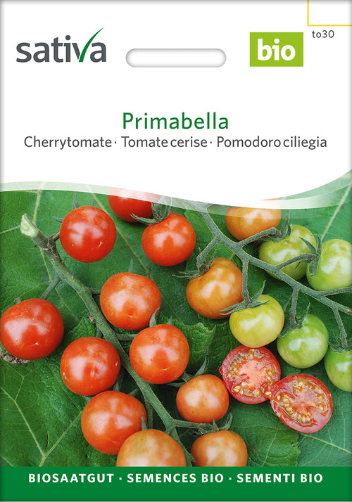 Sativa Cherrytomate Primabella