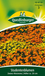 Quedlinburger Studentenblume Zwerg-Mischung