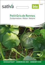 Sativa Zuckermelone Petit Gris de Rennes