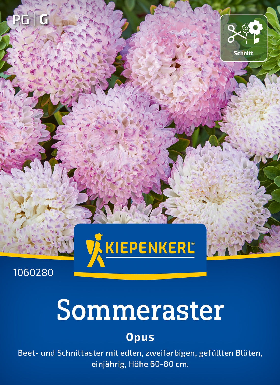 Kiepenkerl Sommeraster Opus