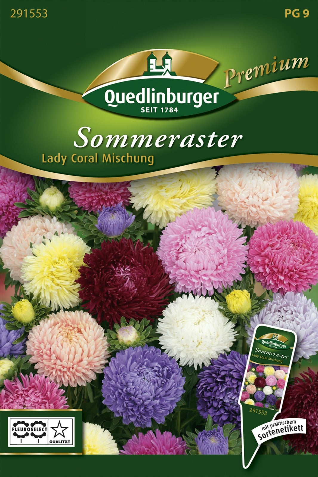 Quedlinburger Sommeraster Lady Coral Mischung