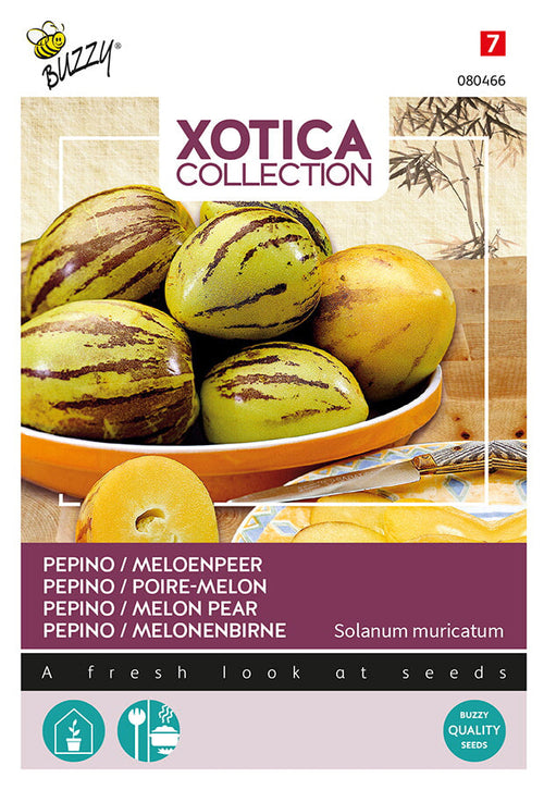 Buzzy Seeds Pepino Melonenbirne
