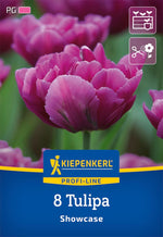 Profi-Line Gefüllte späte Tulpe Allison Bradley
