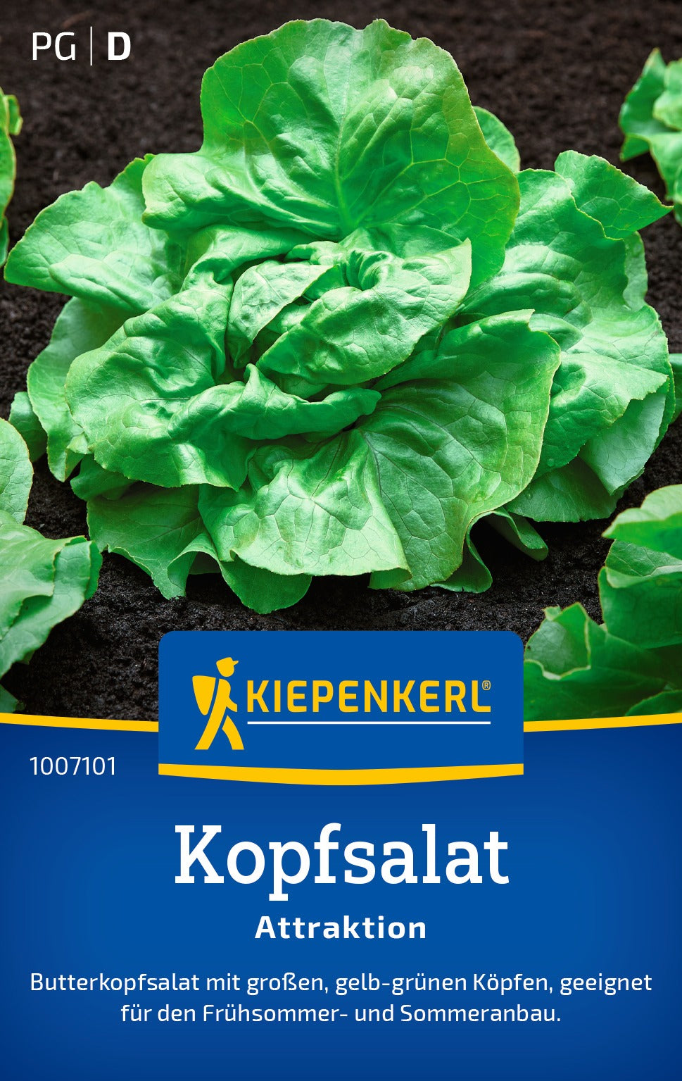 Kiepenkerl Kopfsalat Attraktion
