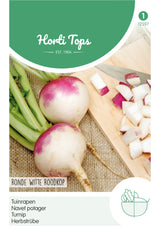 Horti Tops Herbst-Rübe Runde Weiße Rotköpfige