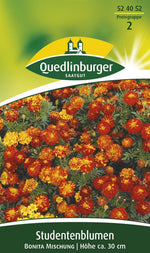 Quedlinburger Studentenblume Bonita Mischung