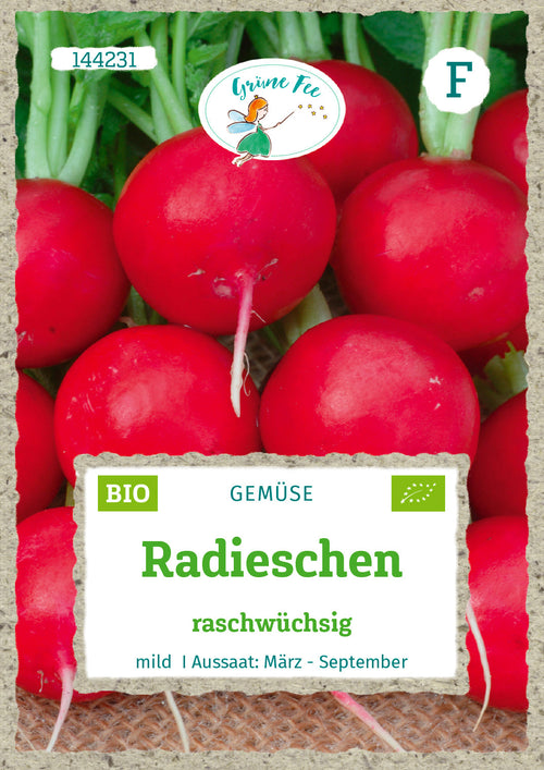 Grüne Fee Radieschen rot & raschwüchsig