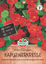 SPERLI Kapuzinerkresse SPERLI's Scharlachglanz
