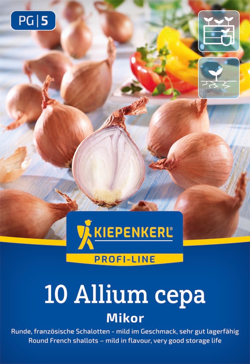 Kiepenkerl Schalotte Mikor 10 Stück