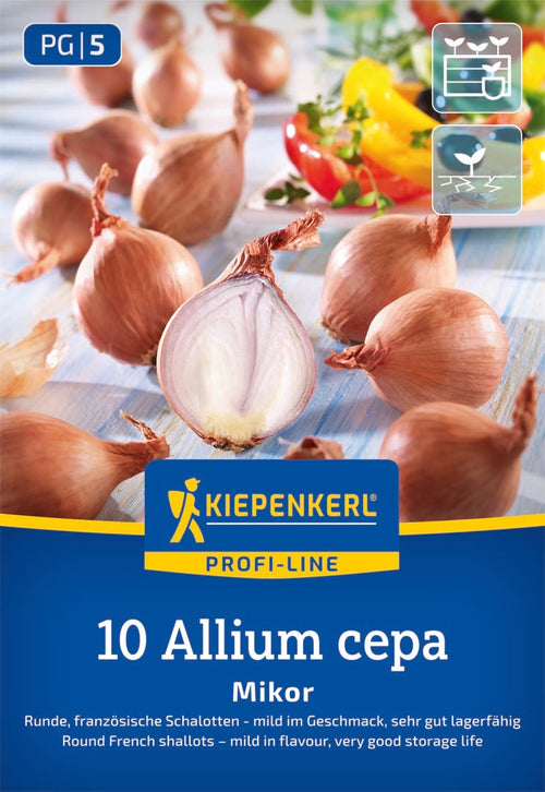 Kiepenkerl Schalotte Mikor 10 Stück