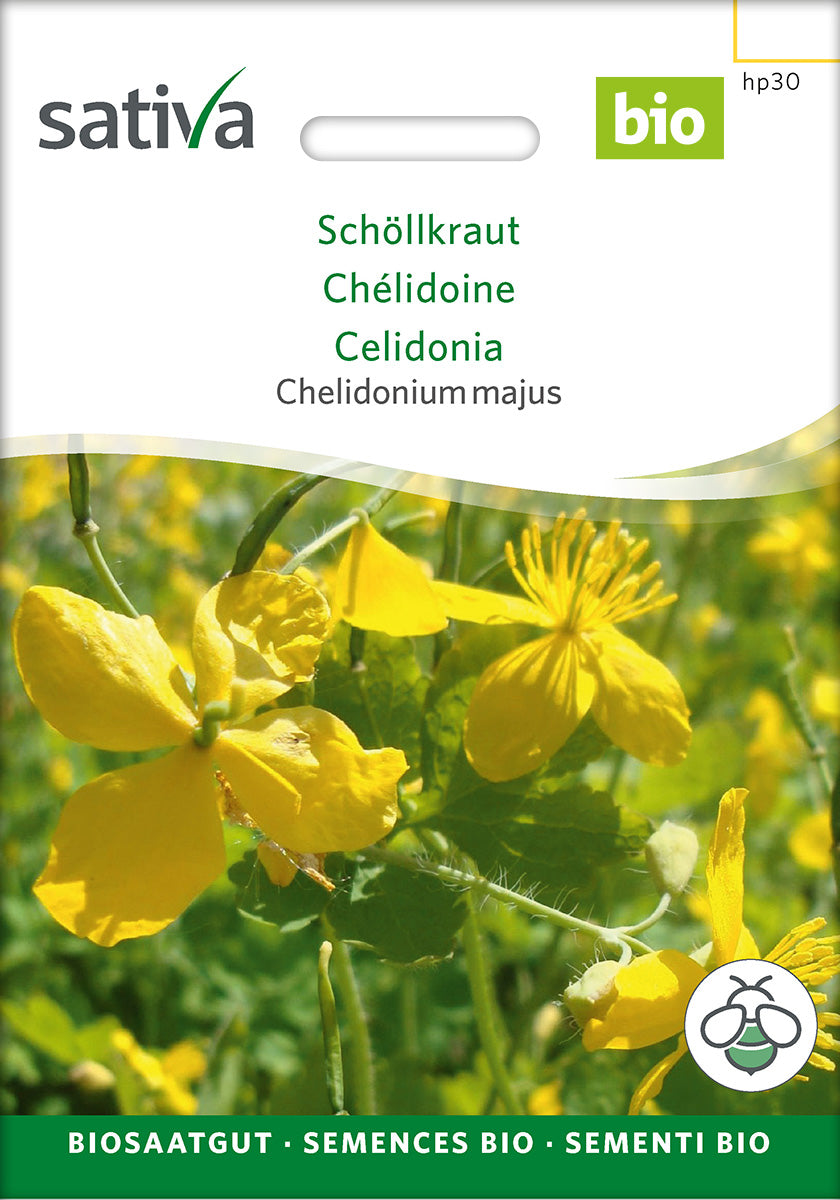 Sativa Chelidonium majus Schöllkraut