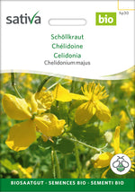 Sativa Chelidonium majus Schöllkraut
