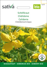 Sativa Chelidonium majus Schöllkraut