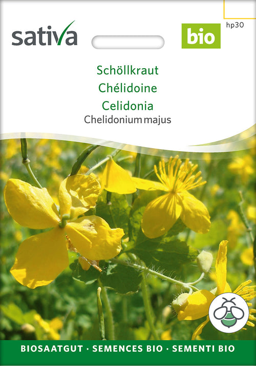 Sativa Chelidonium majus Schöllkraut