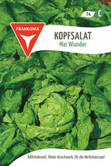 Frankonia Samen Kopfsalat Mai Wunder