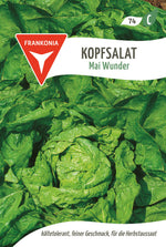 Frankonia Samen Kopfsalat Mai Wunder