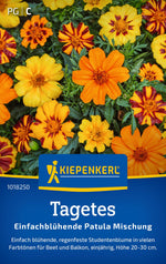 Kiepenkerl Studentenblumen Einfachblühende Patula Mischung